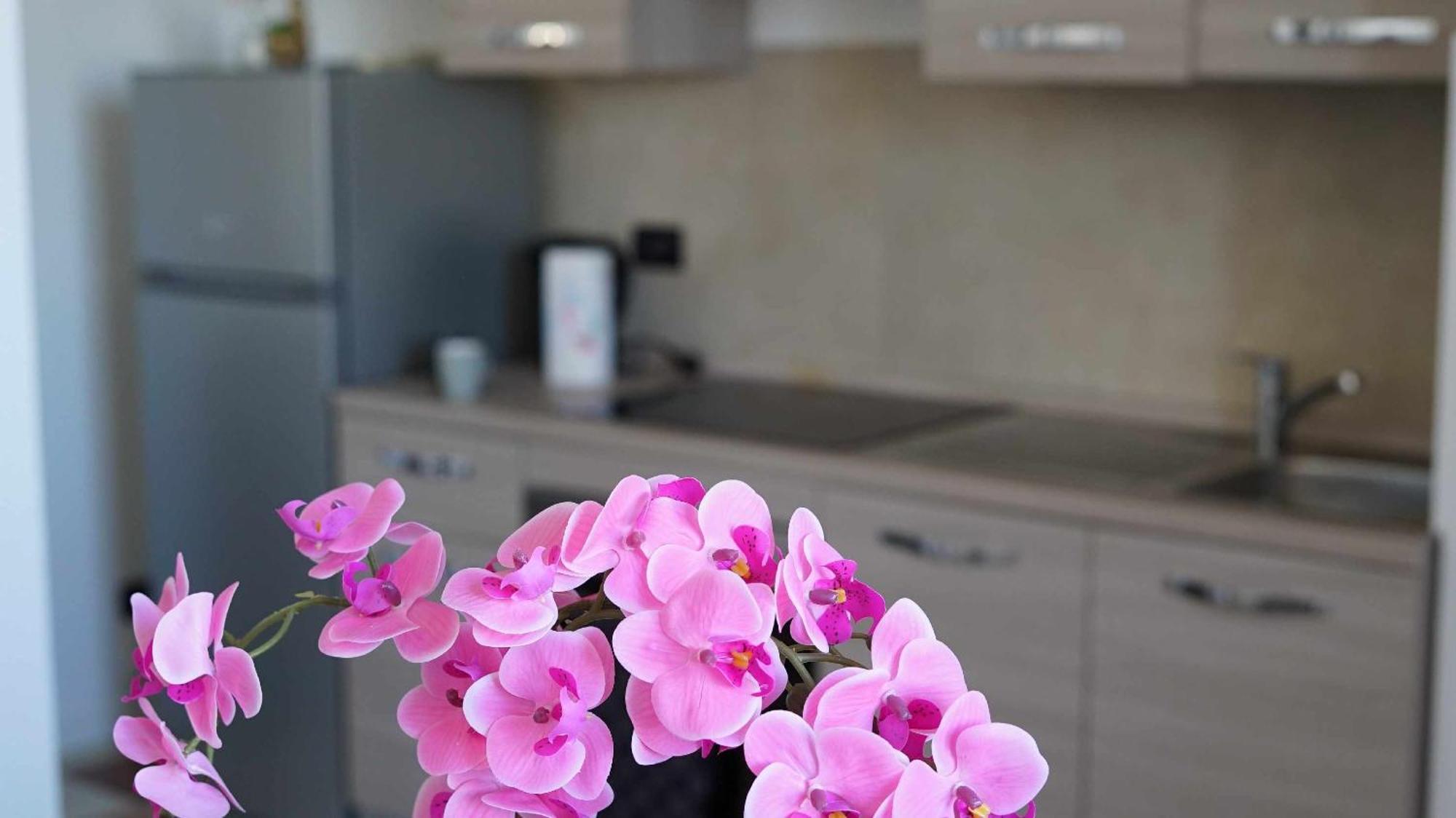 Destiny Home 7 Verona Fiera — Photos 2